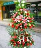隆化开业花篮